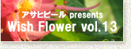 wish Flower vol.13